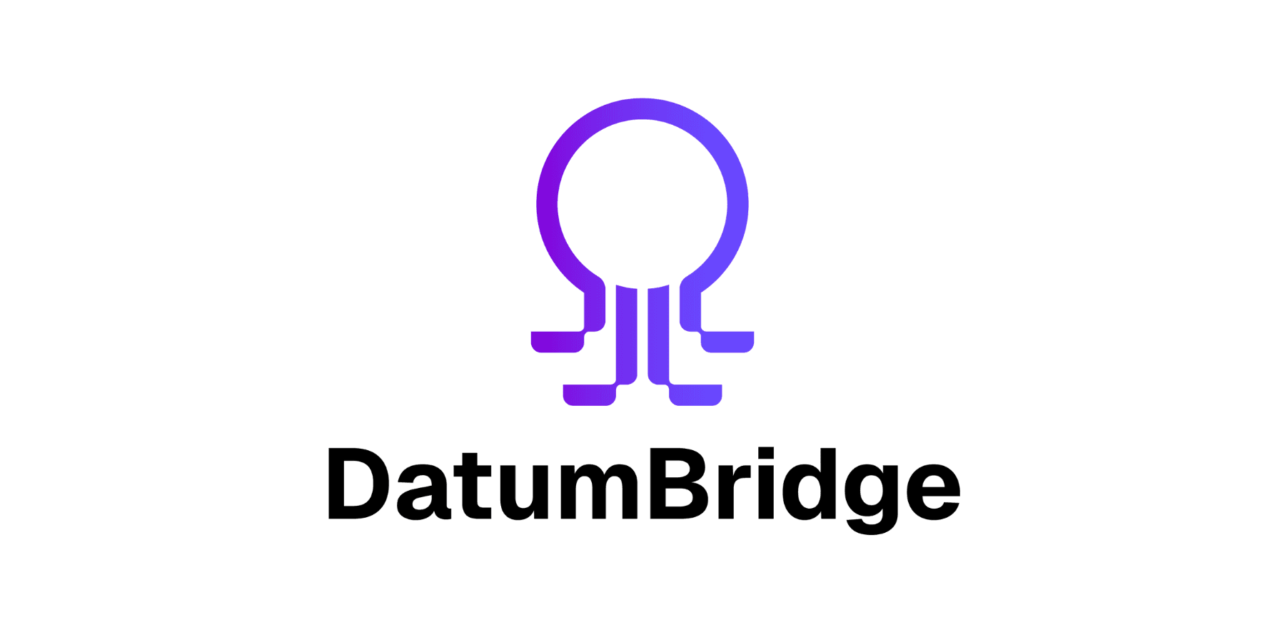 DatumBridge