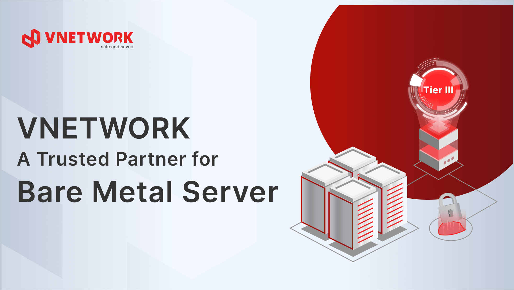 VNETWORK - Trusted Partner for Bare Metal Server Deployment